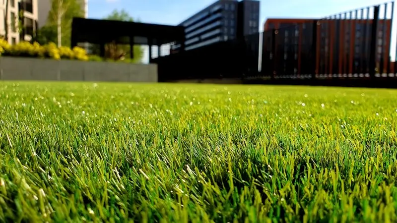 🌿 Lawn Care Programs